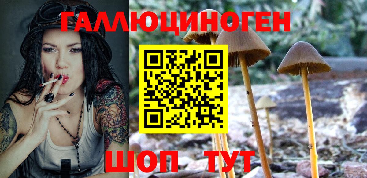 Псилоцибиновые грибы GOLDEN TEACHER  Галлюциногенные грибы Psilocybe  Барабинск  Вход с VPN 